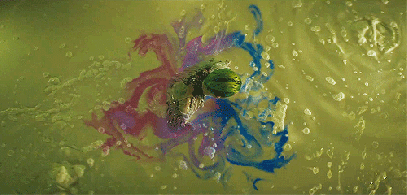 tumblr_o18h2v7njm1v3fd5go7_500